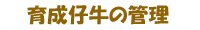 育成仔牛の管理